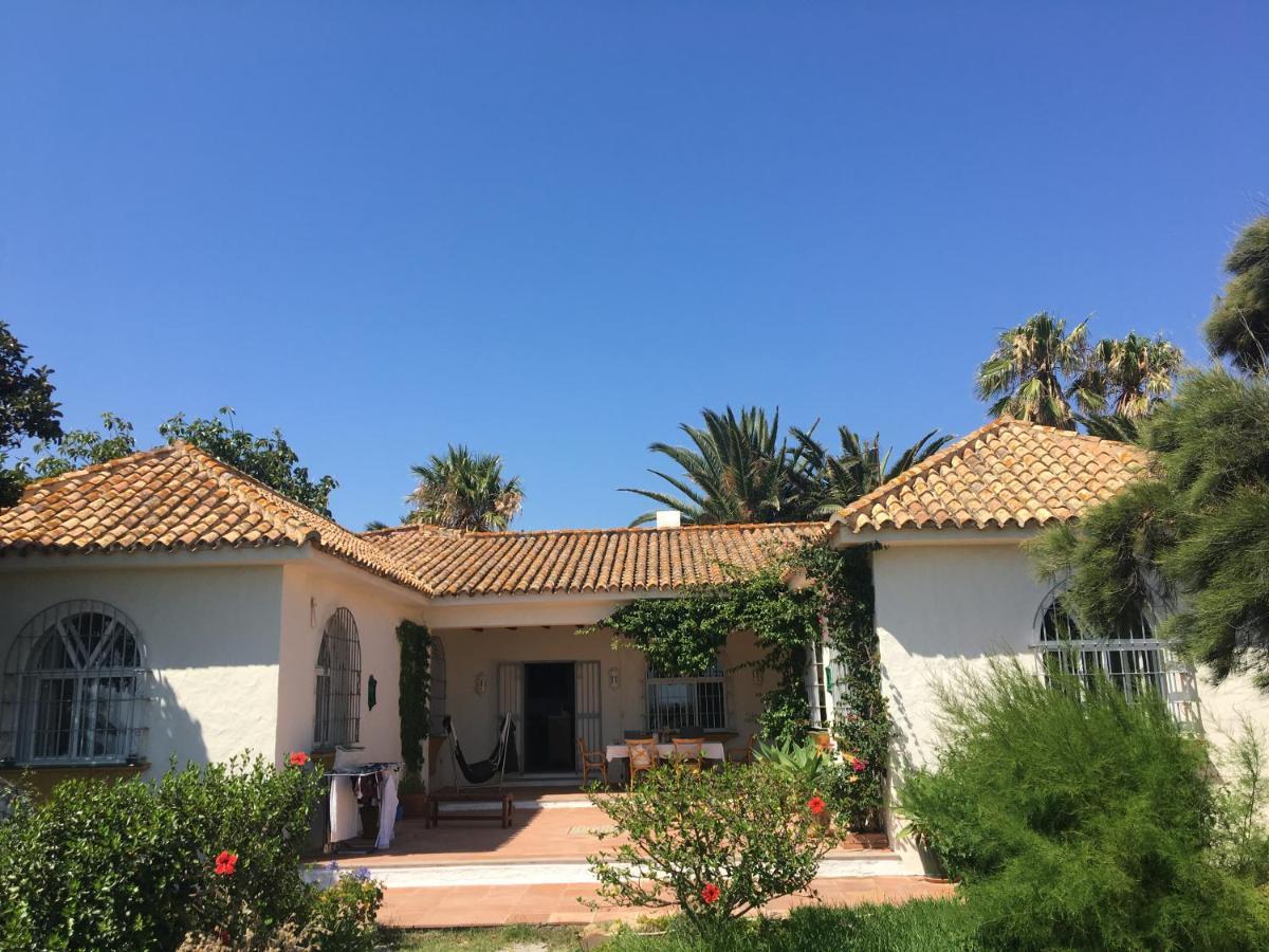 טריפה Bolonia Beach Campus מראה חיצוני תמונה