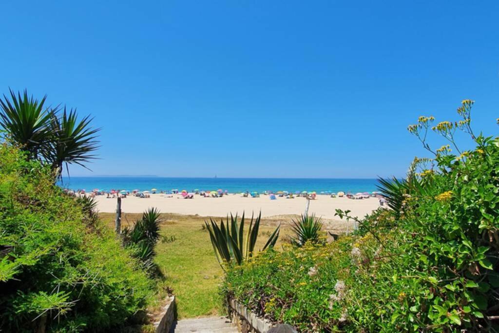 טריפה Bolonia Beach Campus מראה חיצוני תמונה