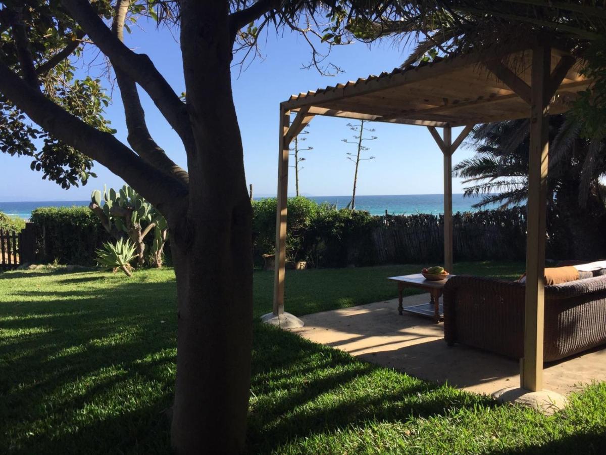 טריפה Bolonia Beach Campus מראה חיצוני תמונה