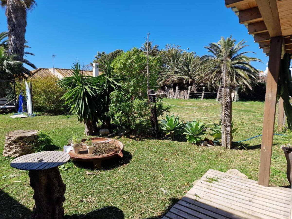 טריפה Bolonia Beach Campus מראה חיצוני תמונה