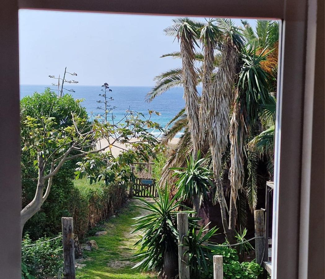 טריפה Bolonia Beach Campus מראה חיצוני תמונה