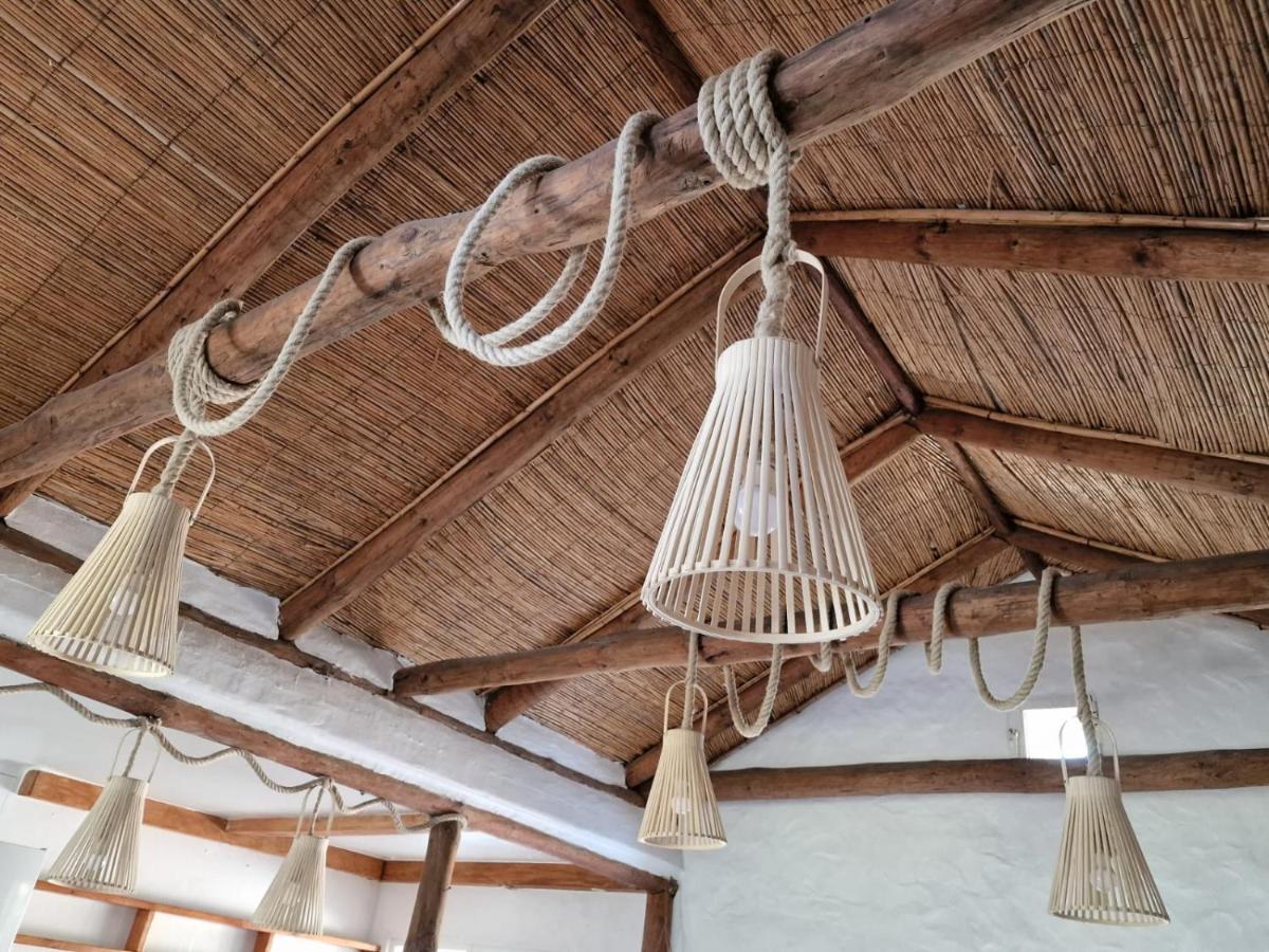 טריפה Bolonia Beach Campus מראה חיצוני תמונה